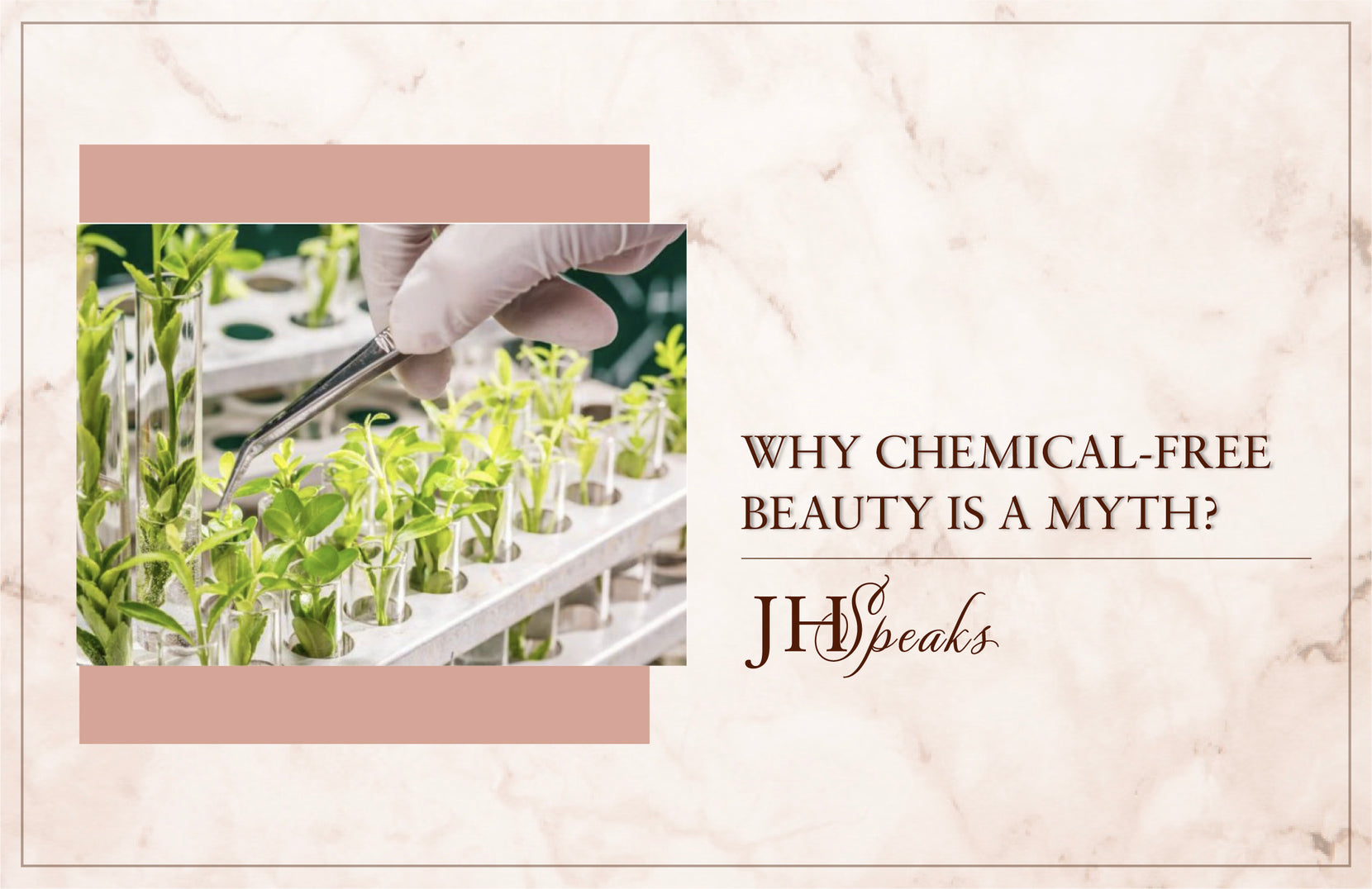 Why Chemical-Free Beauty Is A Myth?