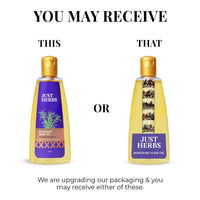 Thumbnail for Rosemary Hair Oil