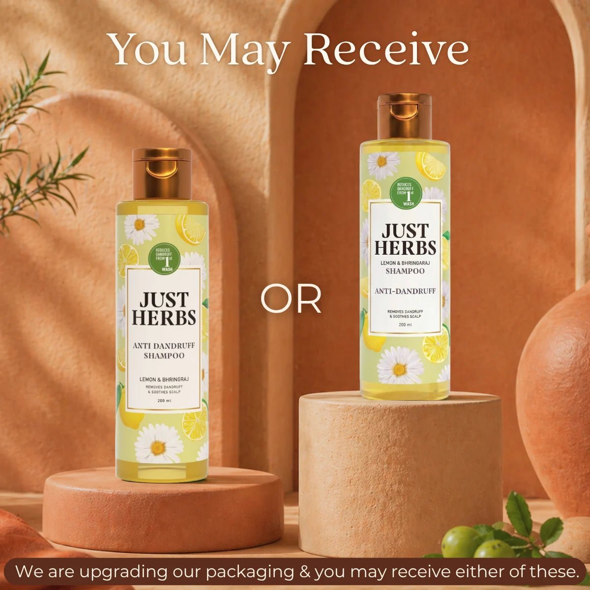 Anti Dandruff Shampoo | Lemon, Bhringraj & 12 Herbs