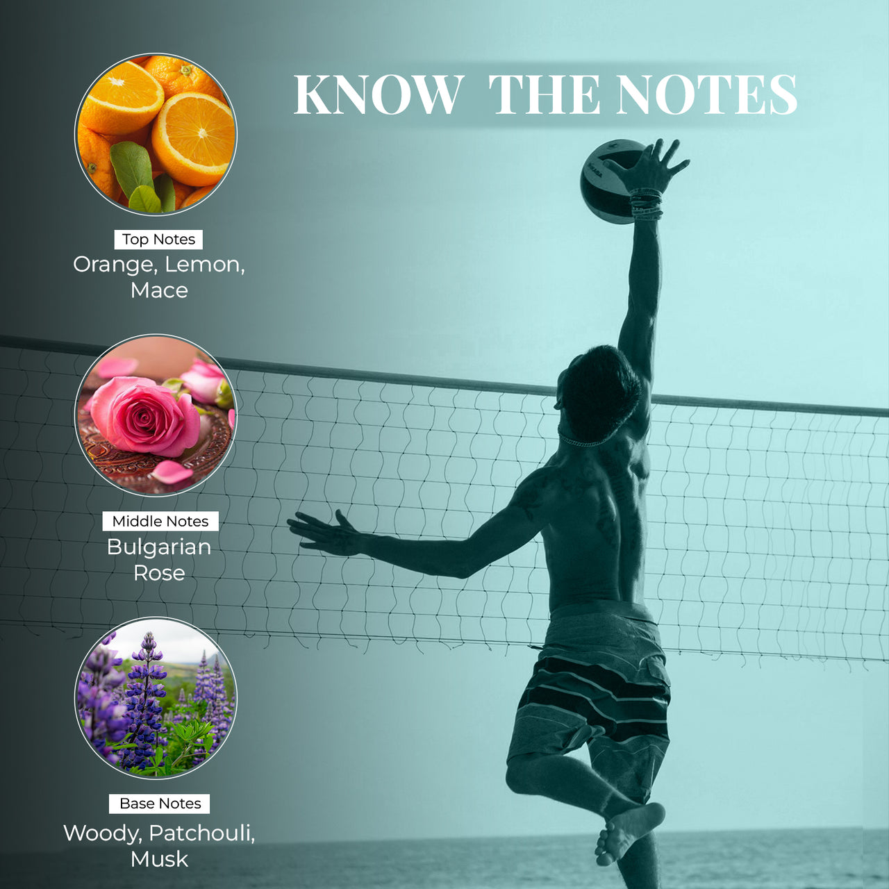 Energising Cin & Tonic