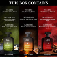 Thumbnail for Intense Oud Trio