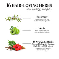Thumbnail for Anti Hairfall Conditioner | Rosemary, Amla & 14 Herbs
