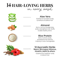 Thumbnail for Smooth & Shine Shampoo for Dry and Frizzy Hair| Aloe Vera, Almond, Rice Protein & 12 Herbs