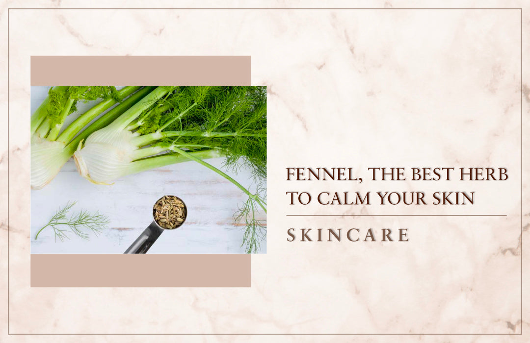 Fennel, The best herb to calm your skin