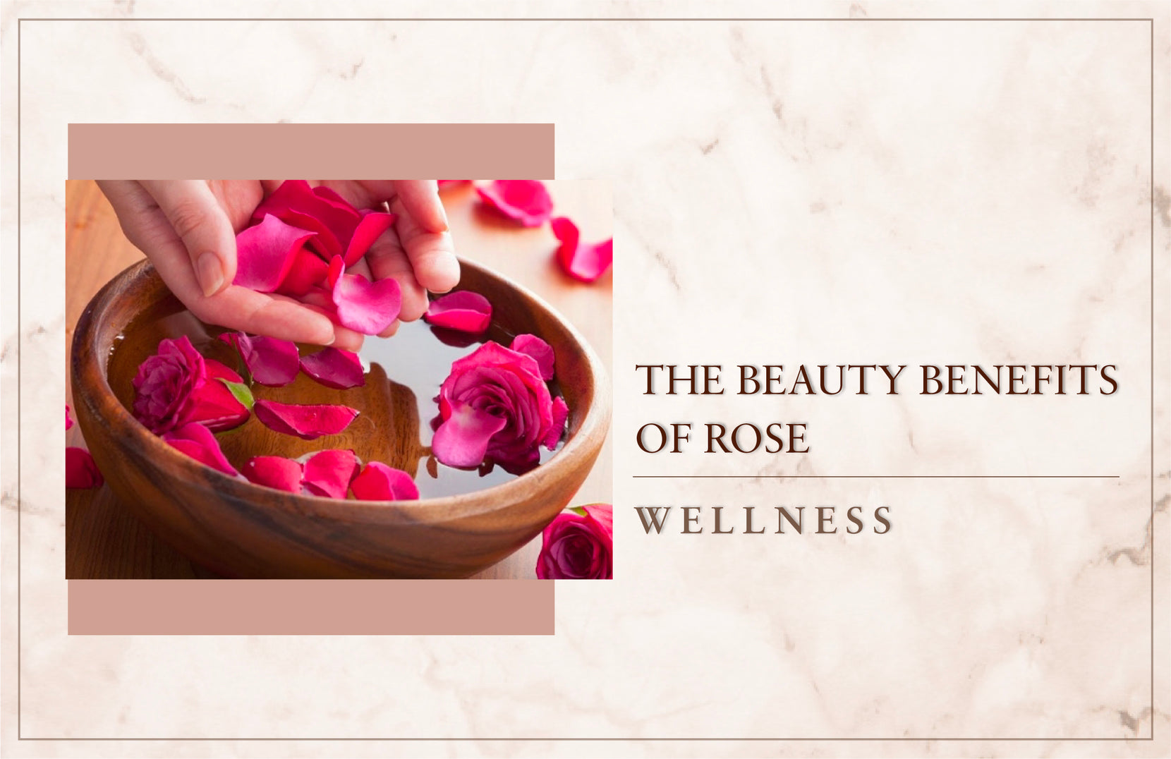 The Beauty Benefits Of Rose