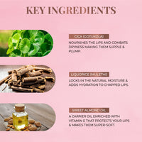 Thumbnail for Herb Enriched Matte Liquid Lipstick Kit- Set of 5 - Just Herbs