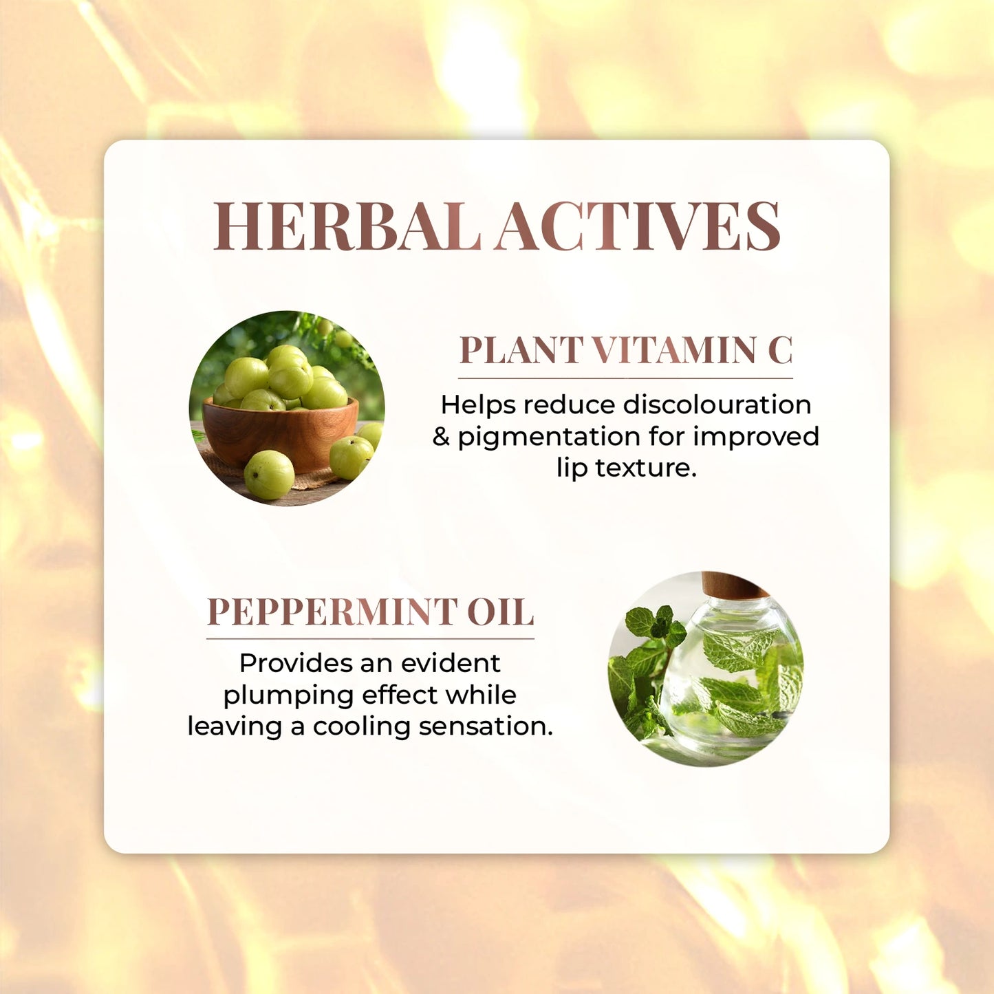 Lip Honey Plumping Gloss with Plant Vitamin C and Peppermint Oil