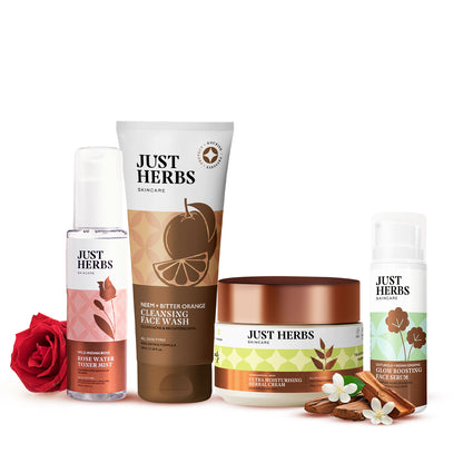 Ayurvedic Glow Boost Skincare Combo Kit of 4