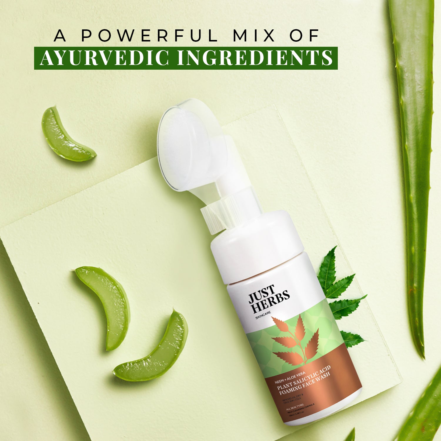 

Plant Salicylic Acid Foaming Face Wash with Neem & Aloe Vera