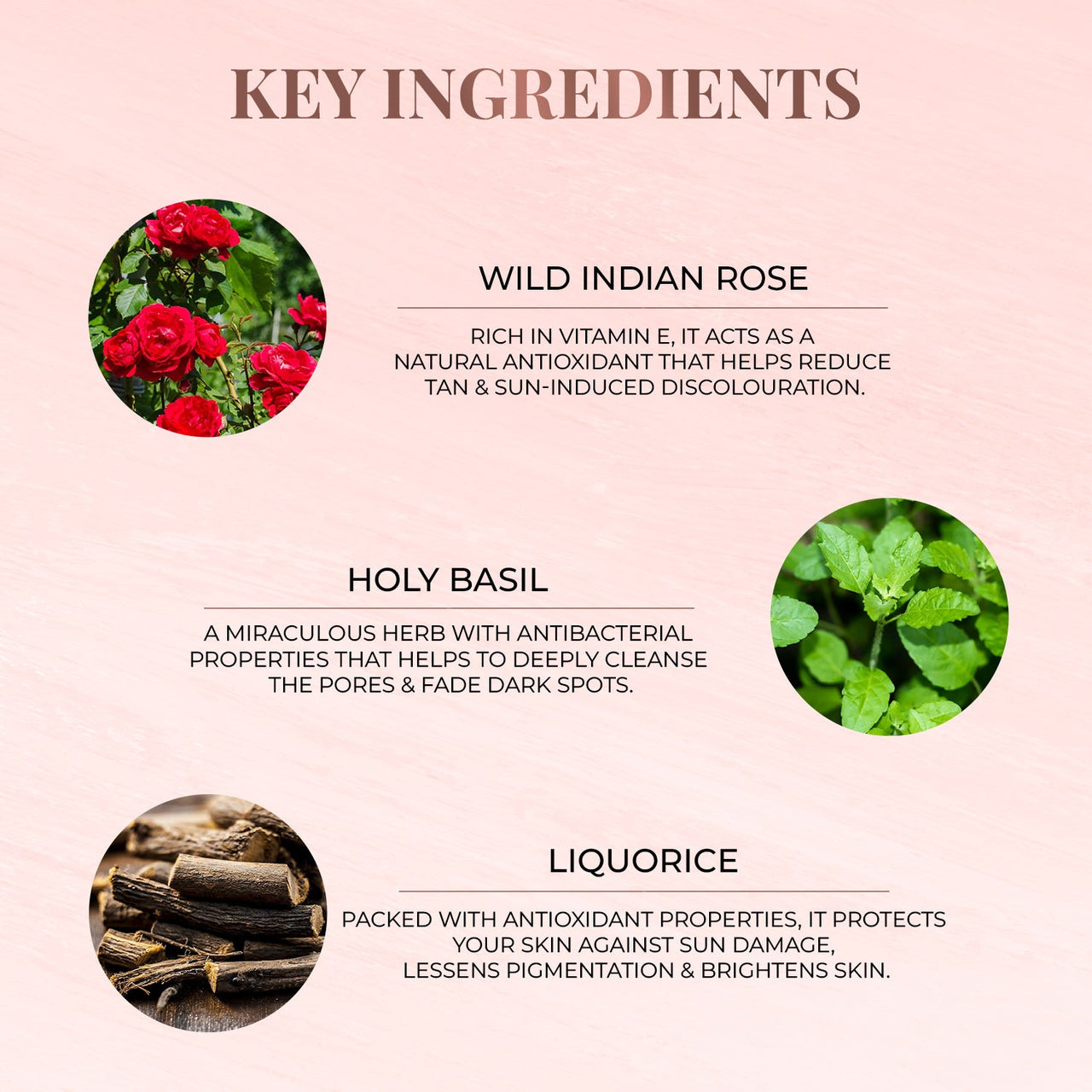 Anti-Tan Face Pack - Wild Indian Rose - Just Herbs