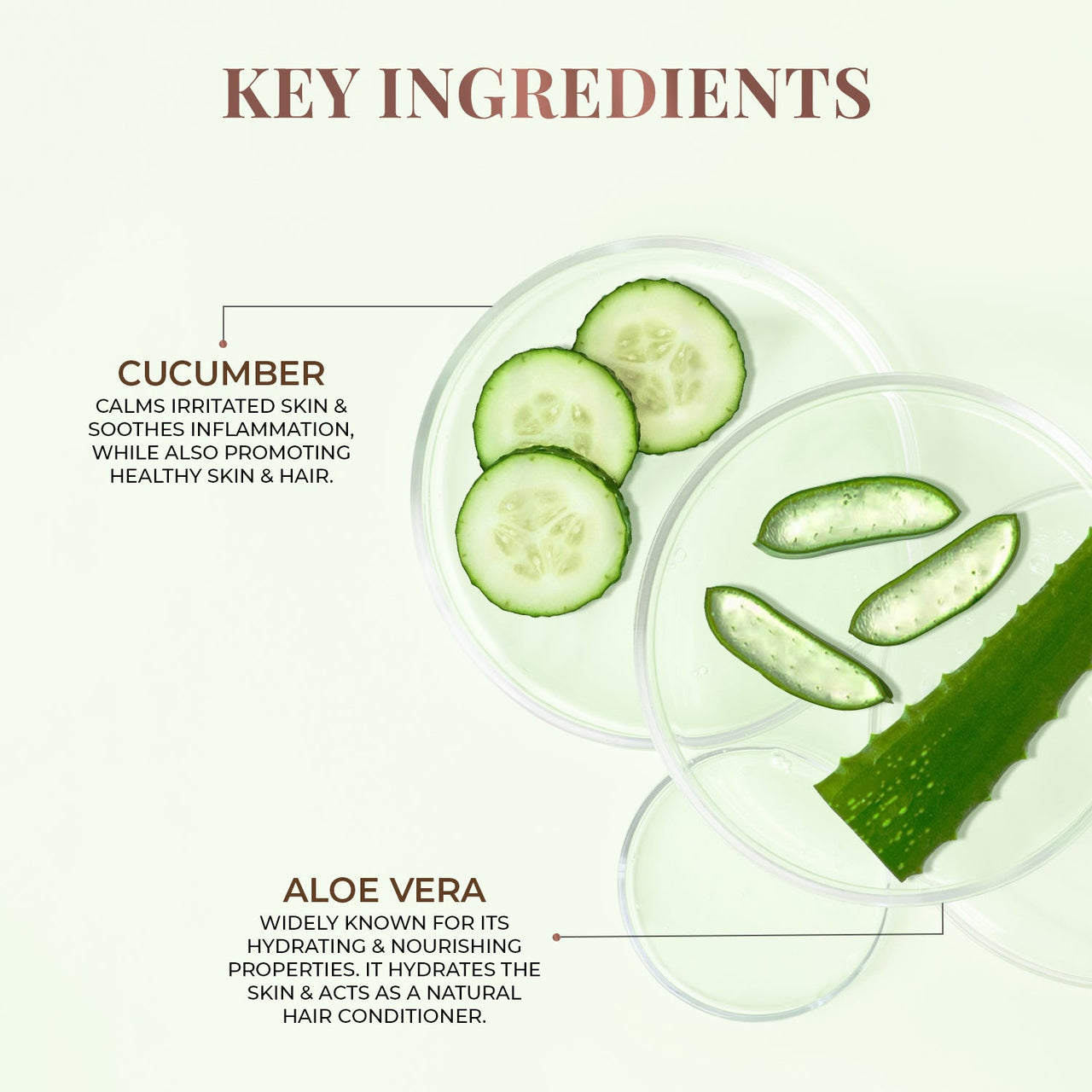 All Purpose Pure Aloe Vera Gel with Aloe & Cucumber - 300 ml