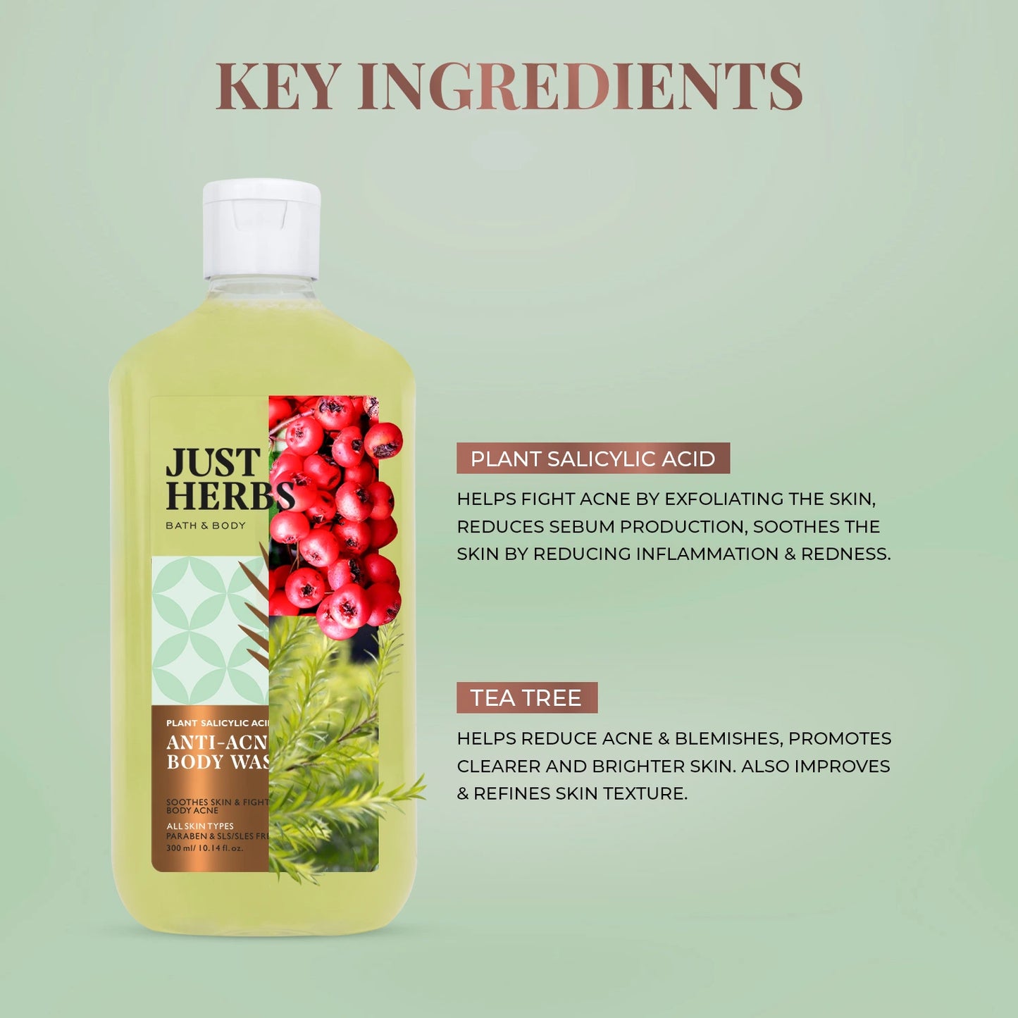 Tea Tree Anti-acne Body Wash with Plant Salicylic Acid
