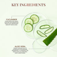 Thumbnail for All Purpose Pure Aloe Vera Gel with Aloe & Cucumber