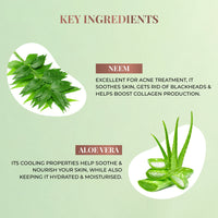 Thumbnail for Plant Salicylic Acid Foaming Face Wash with Neem & Aloe Vera