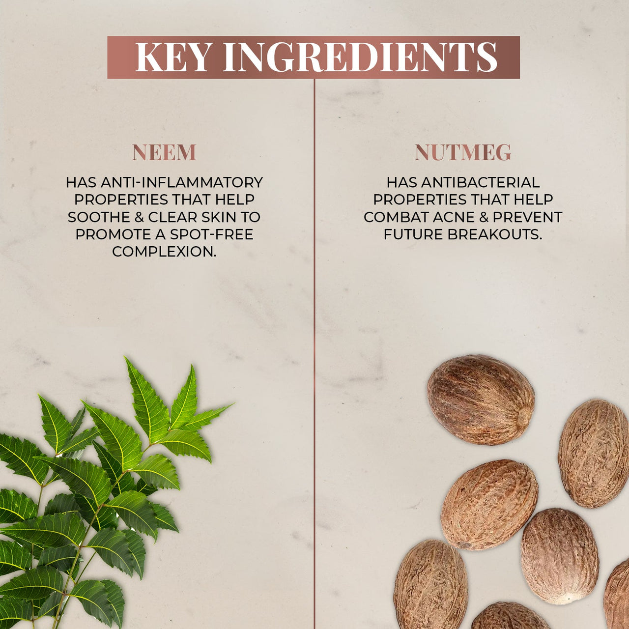 Spot Reduction Face Pack with Neem and Nutmeg 65 g