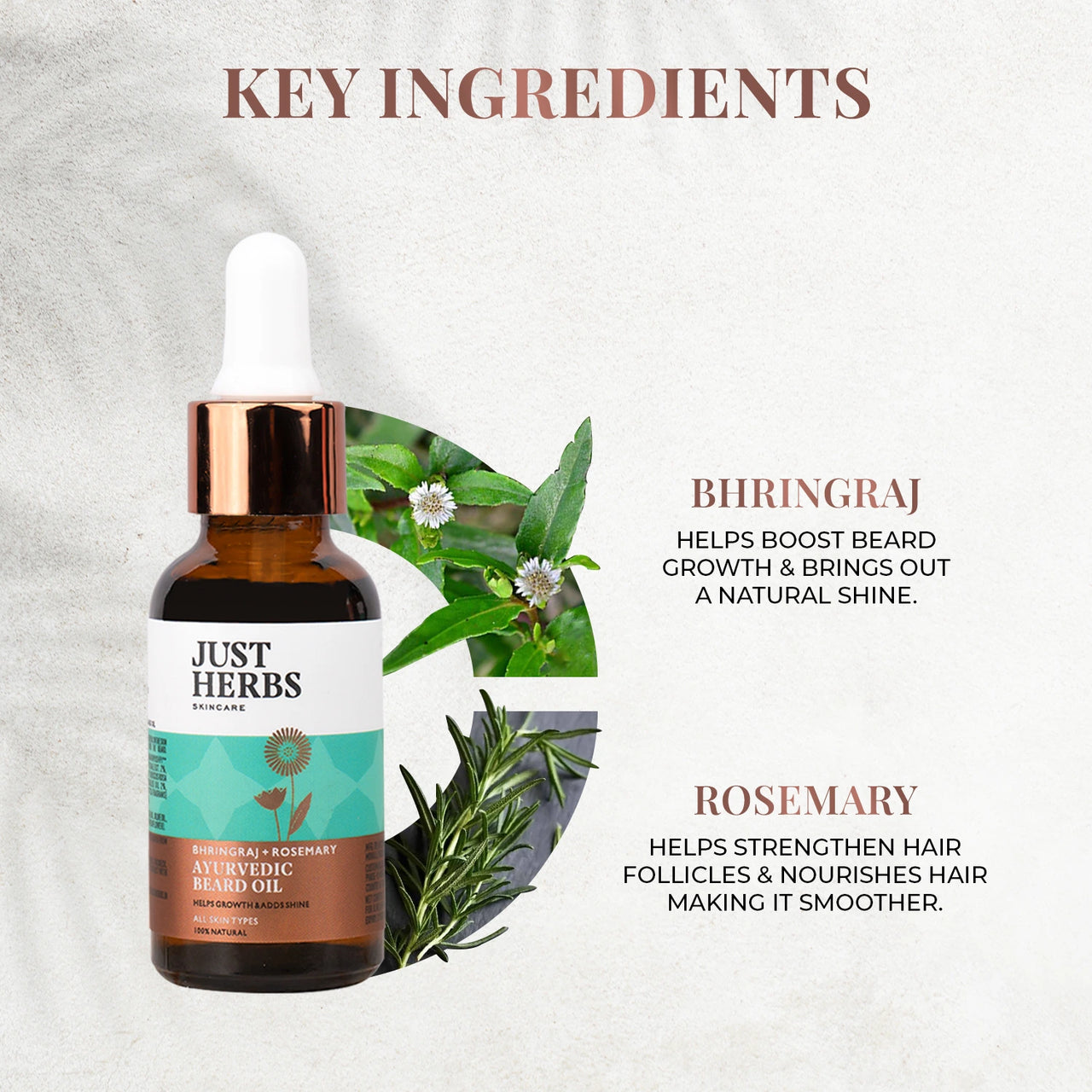 Ayurvedic Beard Oil with Bhringraj & Rosemary: 30 ml