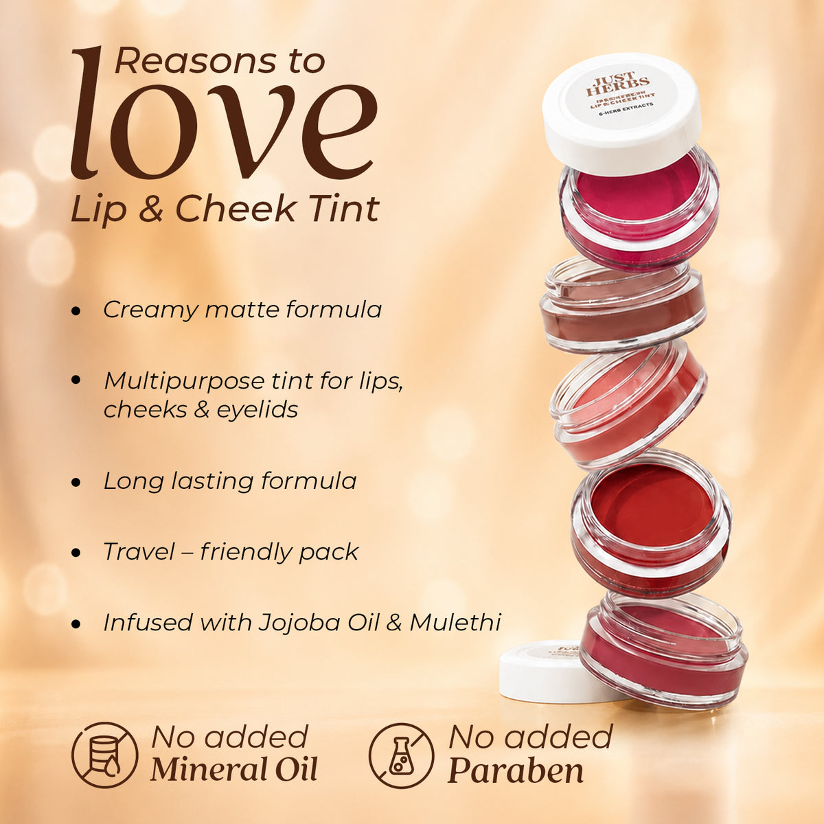 Festive Makeup Gift Set for Women