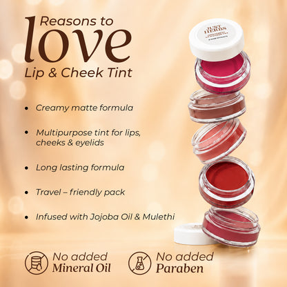 Festive Makeup Gift Set for Women