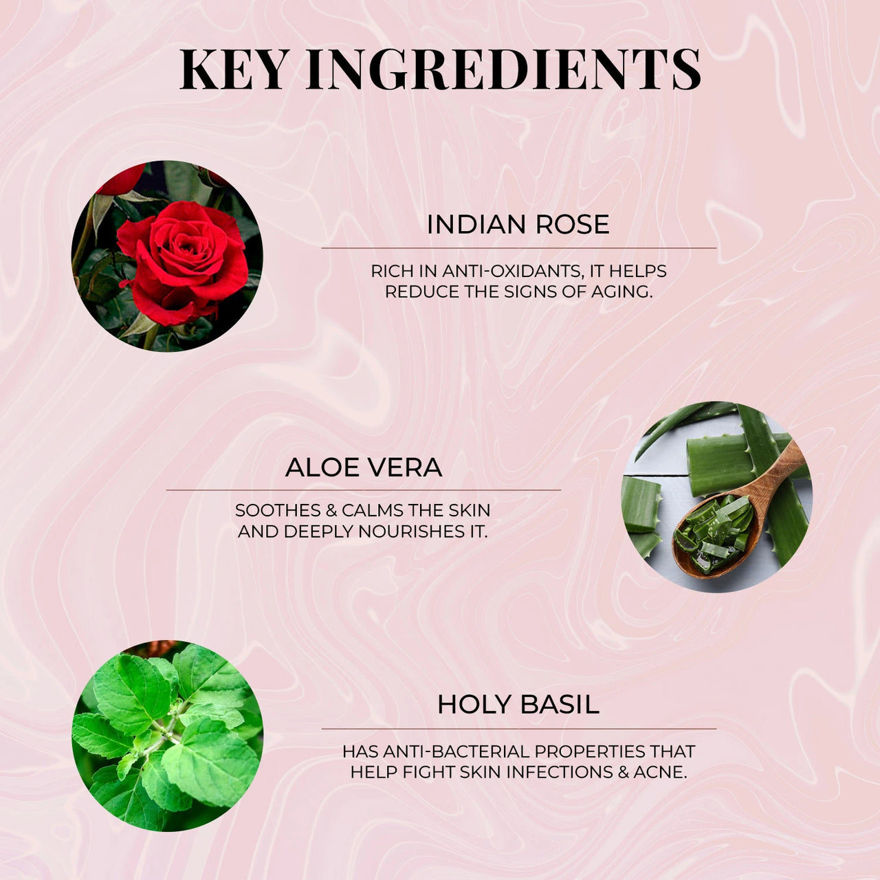 Wild Indian Rose Body Wash: 300 ml