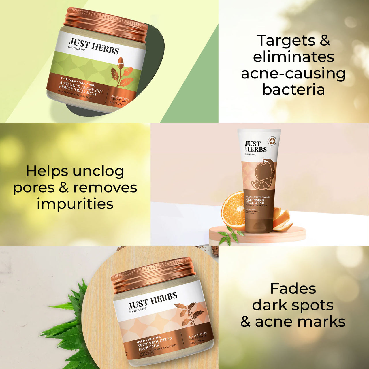 Ayurvedic Pimple Treatment Kit