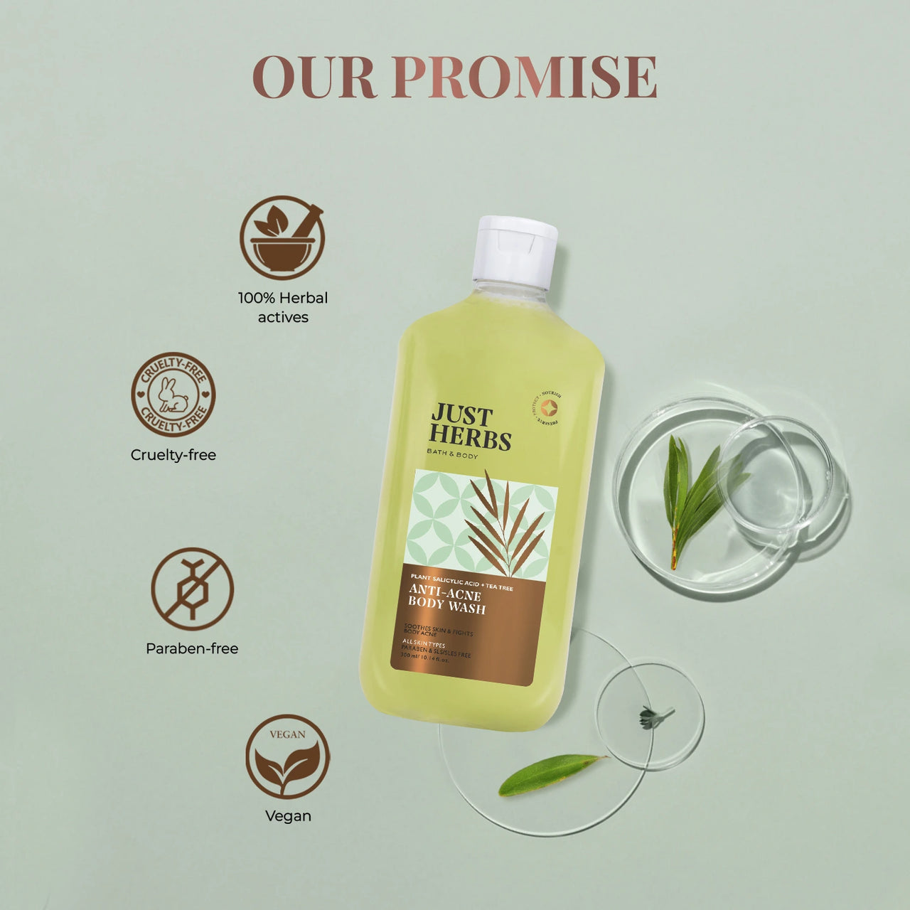 Tea Tree Anti-acne Body Wash with Plant Salicylic Acid