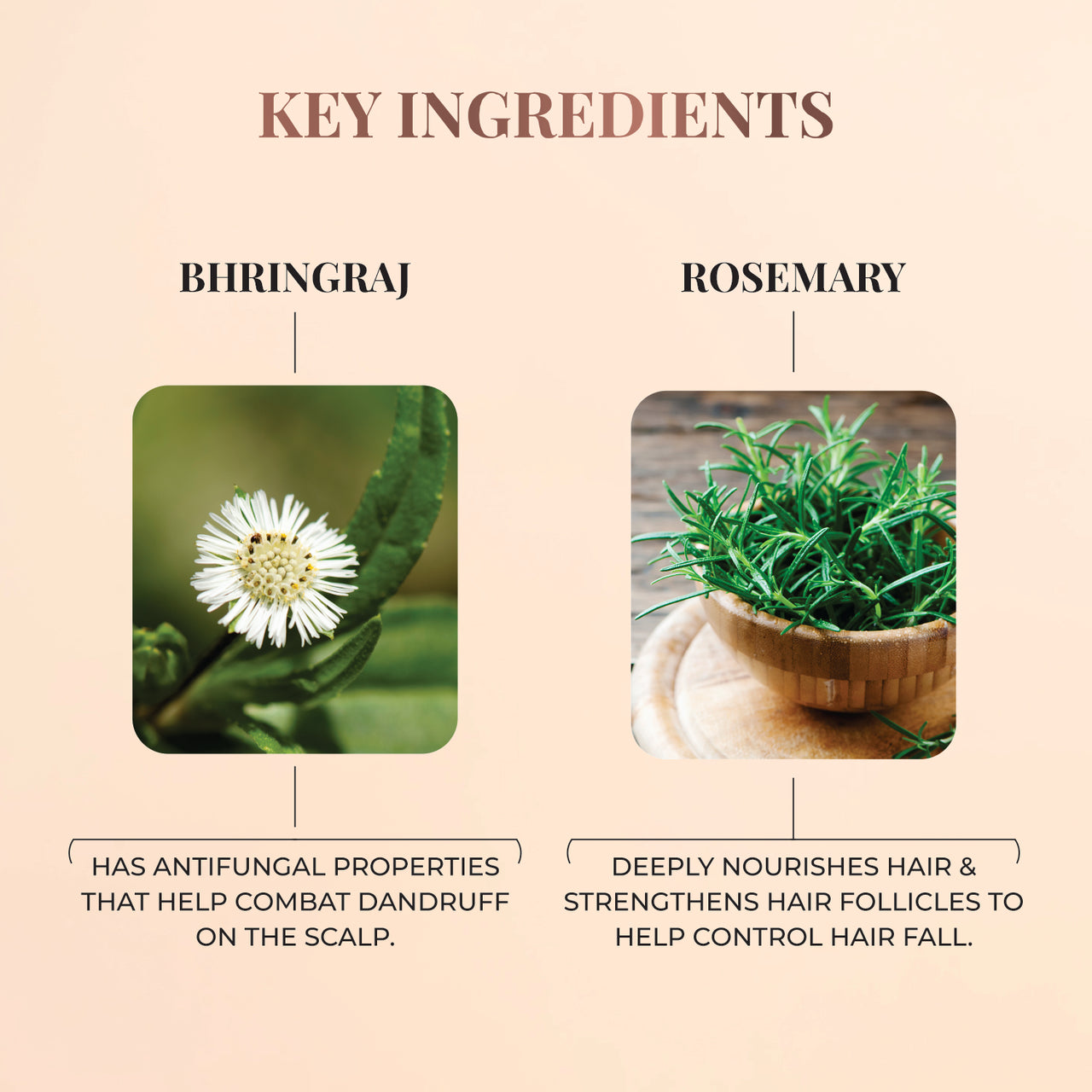 Nourishing Hair Cream with Bhringraj & Rosemary