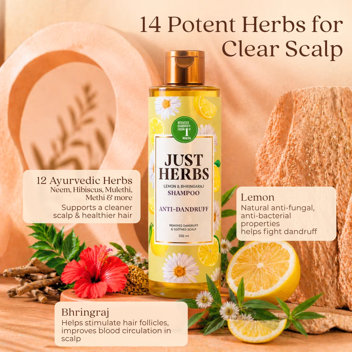 Anti Dandruff Shampoo | Lemon, Bhringraj & 12 Herbs
