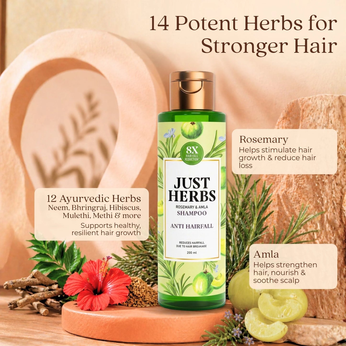 Anti Hairfall Shampoo | Rosemary, Amla & 12 Herbs