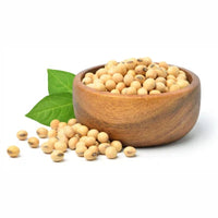 Soy Lecithin