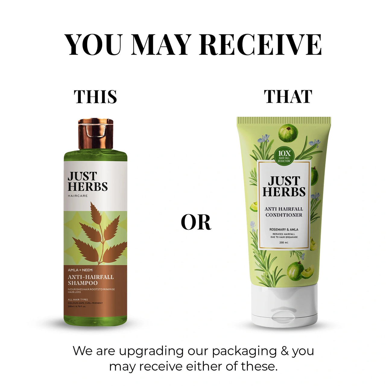 Anti Hairfall Conditioner | Rosemary, Amla & 14 Herbs