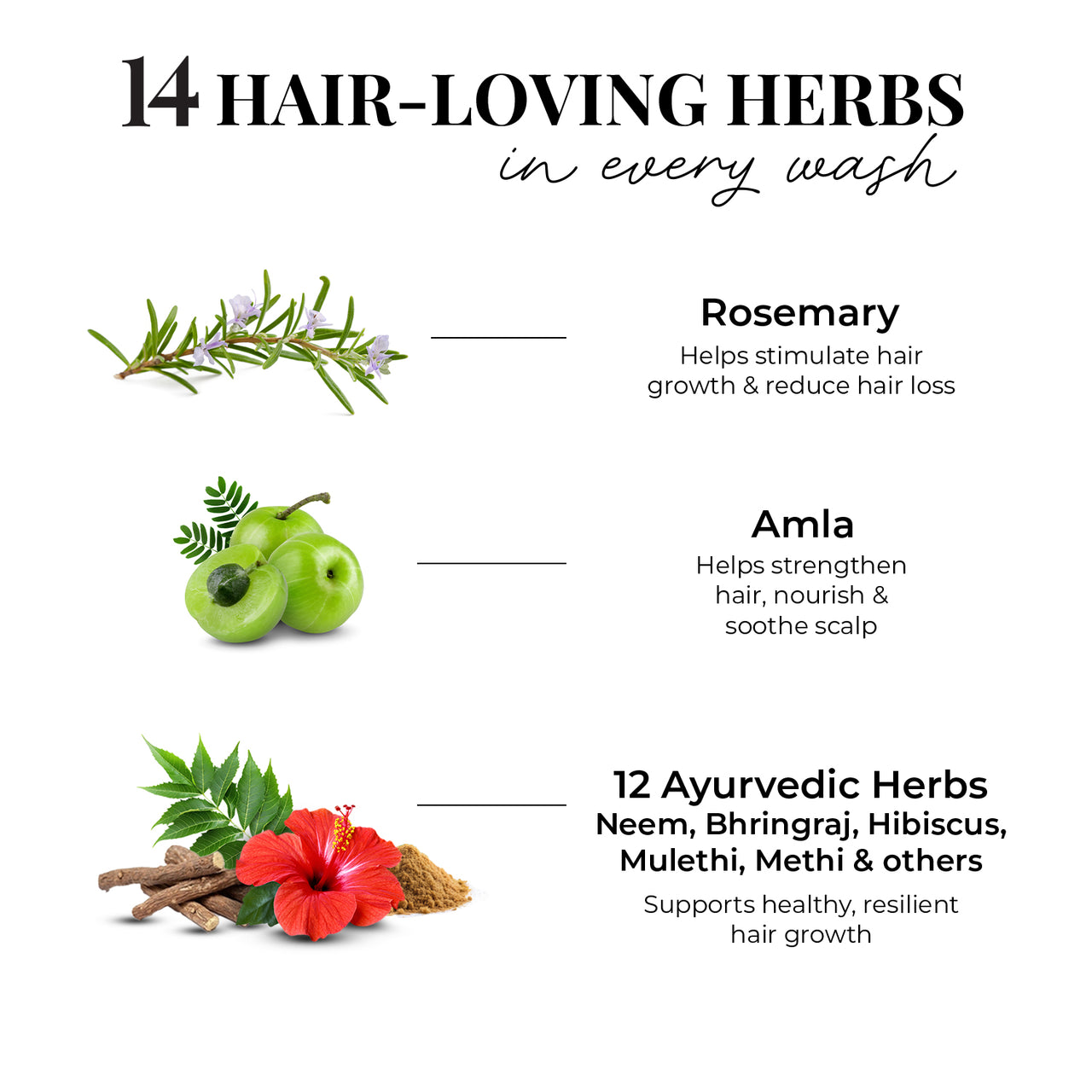 Just Herbs Anti Hairfall Shampoo | Rosemary, Amla & 12 Herbs | Reduces Hair fall by 8X from 1st wash | Ayurvedic Shampoo for All Hair Types - 200ml