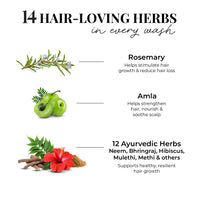 Thumbnail for Just Herbs Anti Hairfall Shampoo | Rosemary, Amla & 12 Herbs | Reduces Hair fall by 8X from 1st wash | Ayurvedic Shampoo for All Hair Types - 200ml