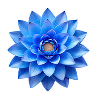 Blue Lotus