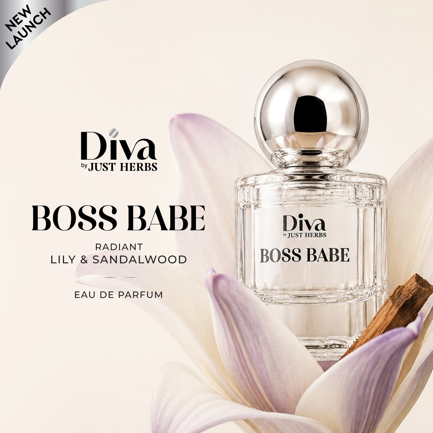 Diva Boss Babe
