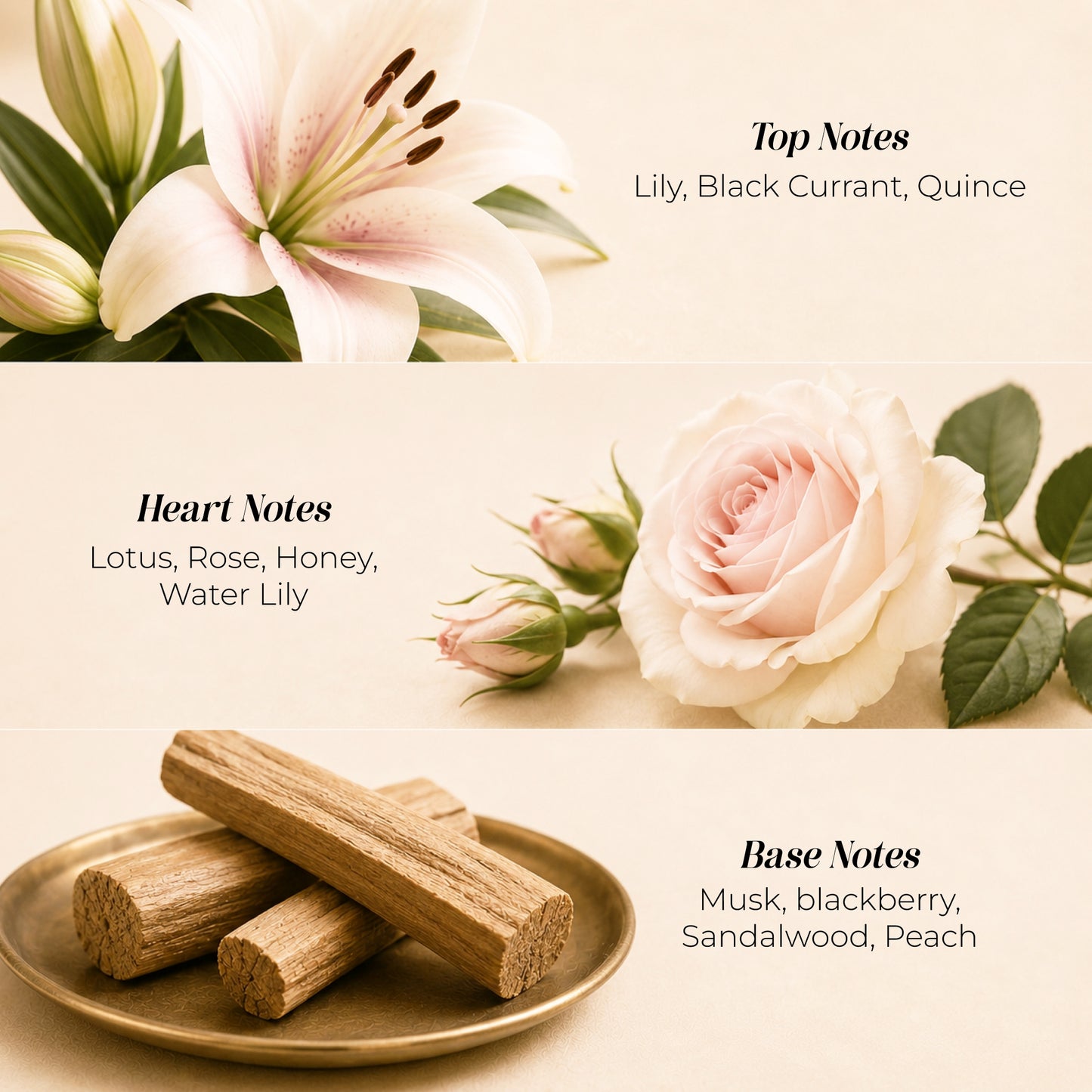 Diva Boss Babe