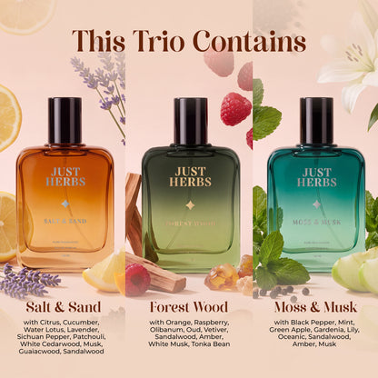 Energising & Relaxing Trio