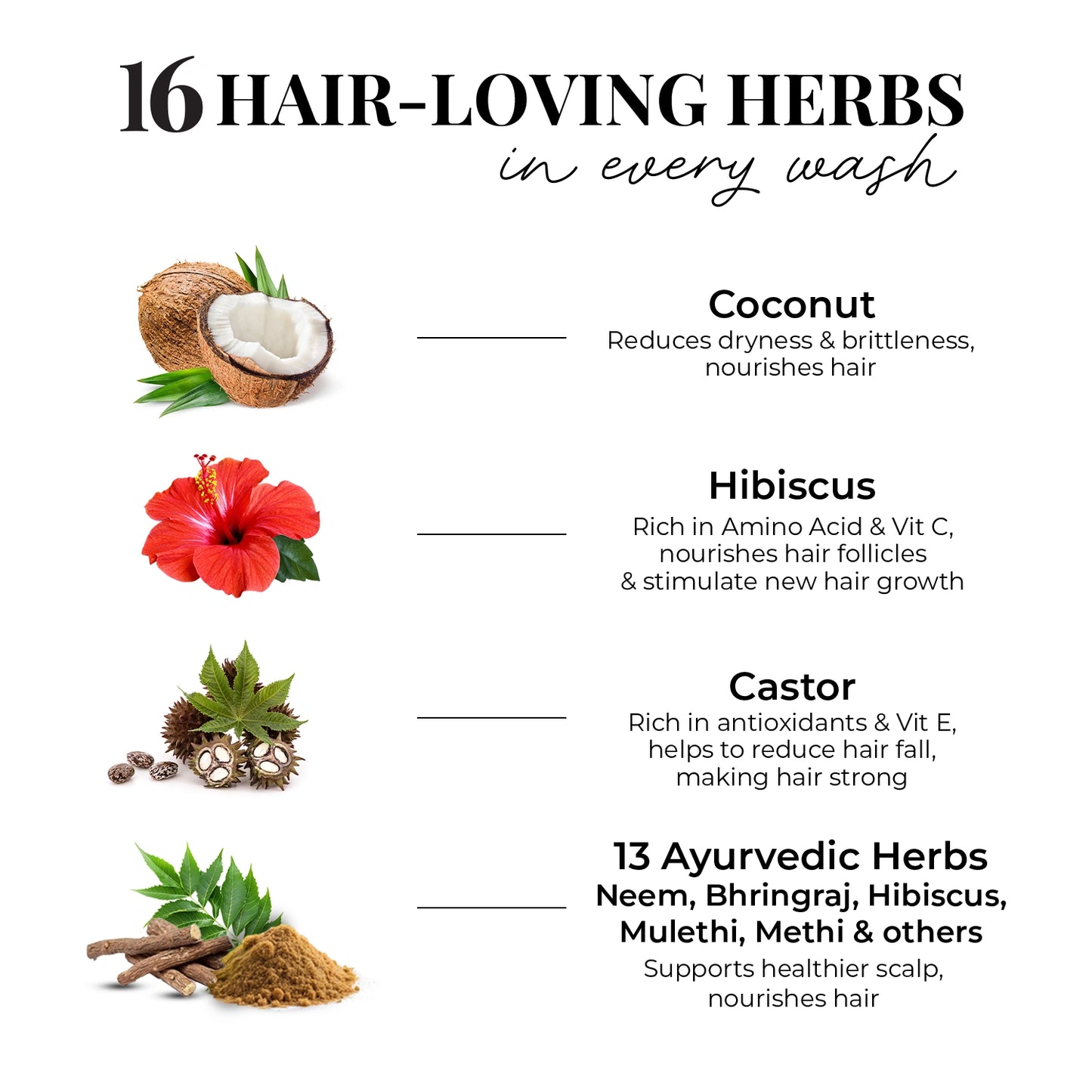 Strong & Nourish Conditioner | Coconut, Hibiscus, Castor & 13 Herbs