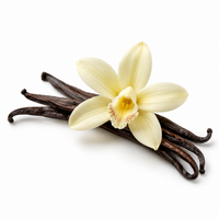 Vanilla