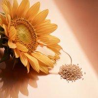 Sunflower Oil