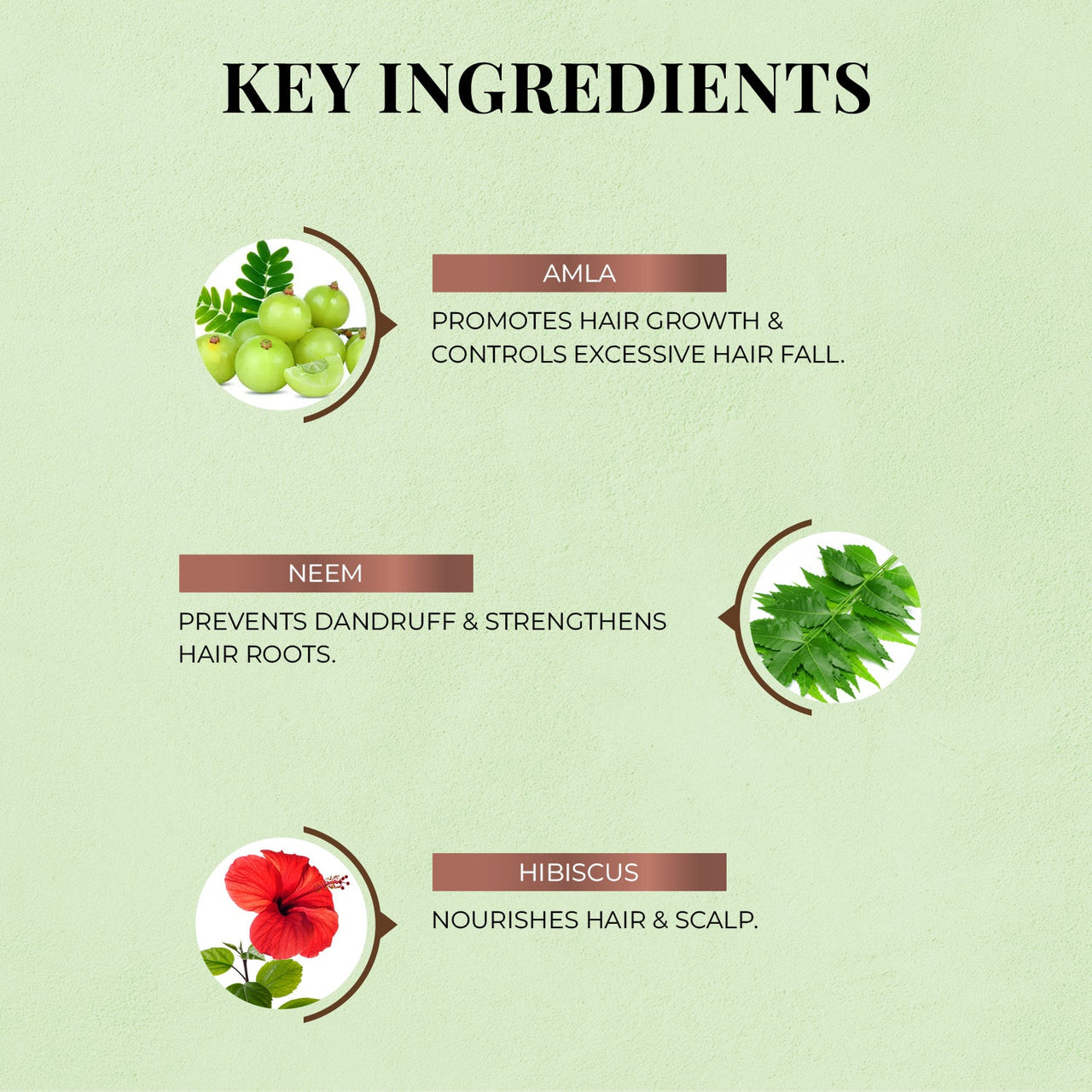 Anti-Hairfall Shampoo with Amla & Neem - Just Herbs