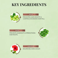Thumbnail for Anti-Hairfall Shampoo with Amla & Neem - Just Herbs