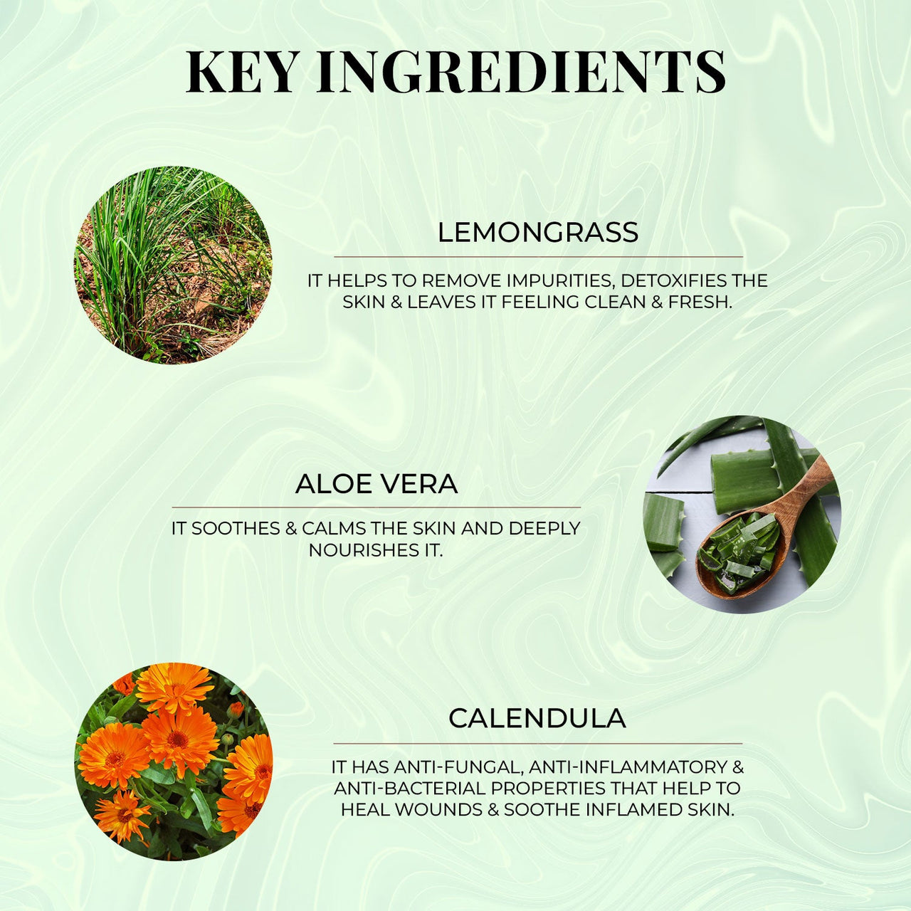 Malabar Lemongrass Body Wash - Just Herbs
