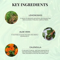 Thumbnail for Malabar Lemongrass Body Wash - Just Herbs