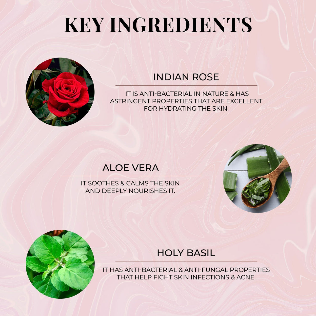 Wild Indian Rose Body Wash - Just Herbs