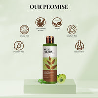Thumbnail for Anti-Hairfall Shampoo with Amla & Neem - Just Herbs